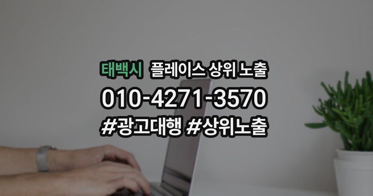 태백시 플레이스 상위 노출