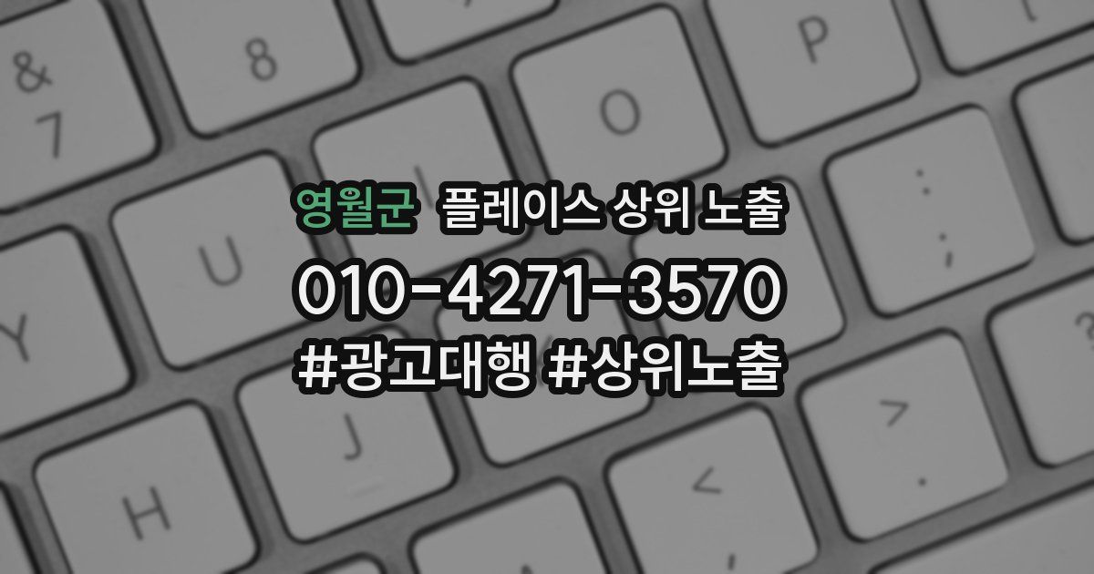 영월군 플레이스 상위 노출