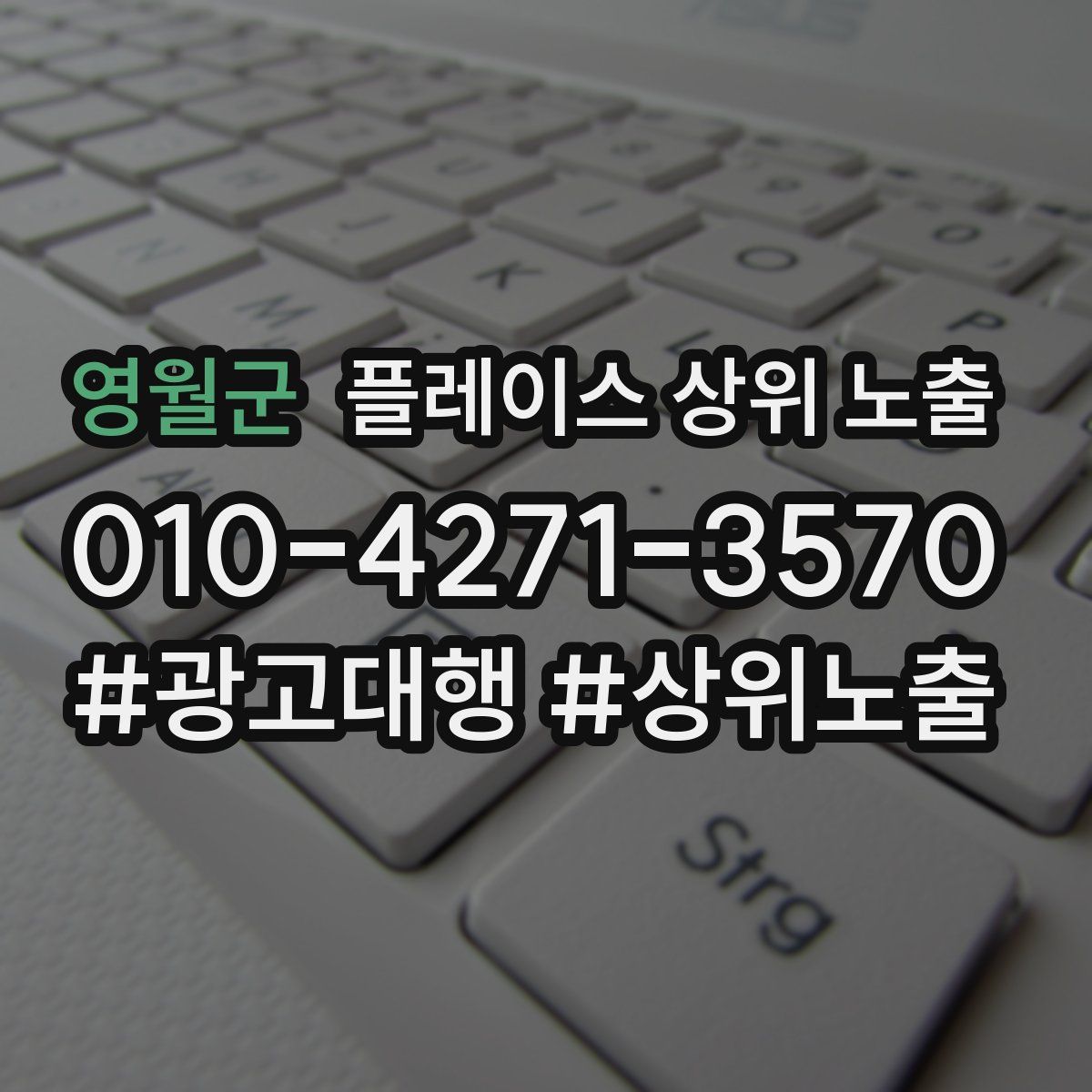 영월군 플레이스 상위 노출