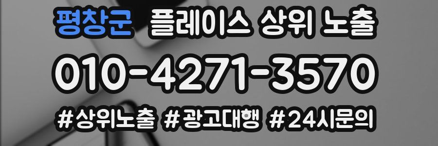 평창군 플레이스 상위 노출