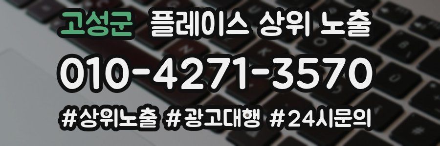 고성군 플레이스 상위 노출