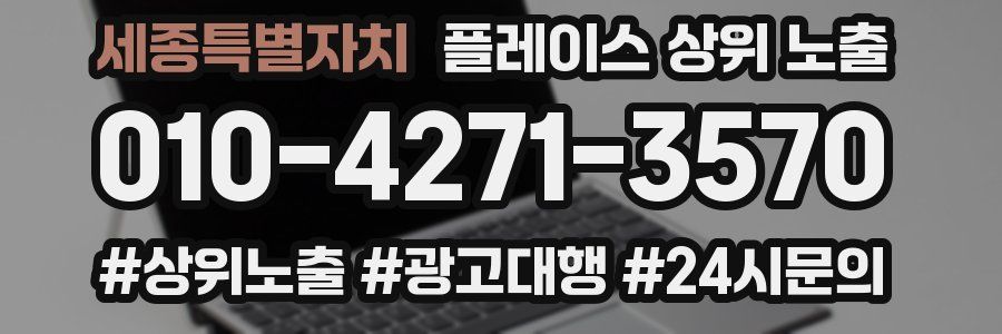 세종특별자치 플레이스 상위 노출