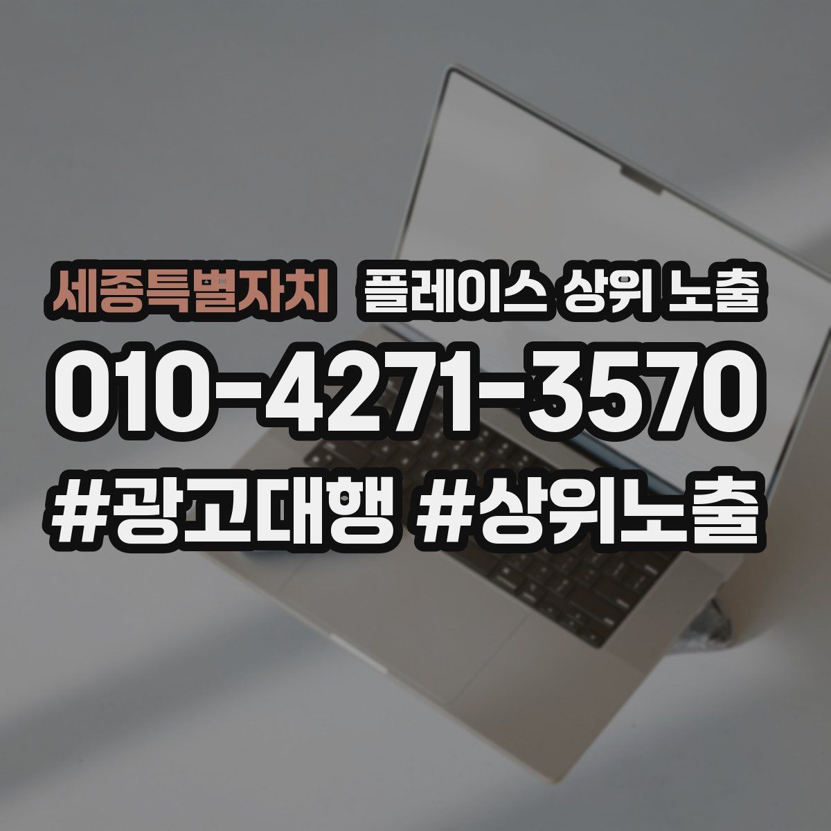 세종특별자치 플레이스 상위 노출