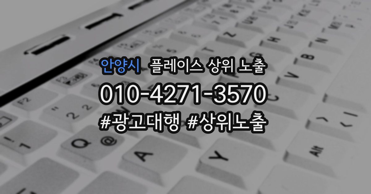 안양시 플레이스 상위 노출