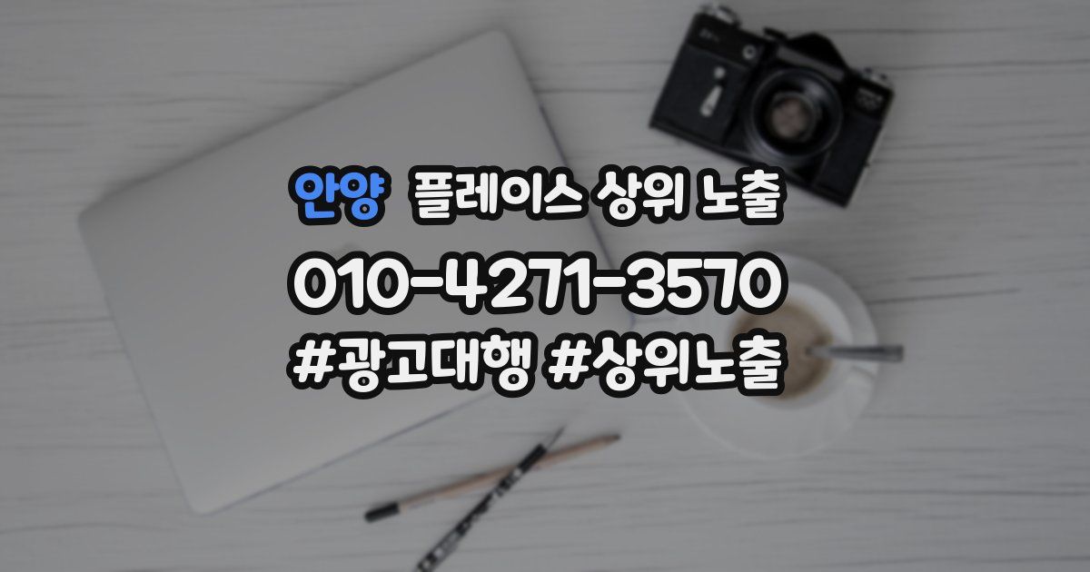 안양 플레이스 상위 노출