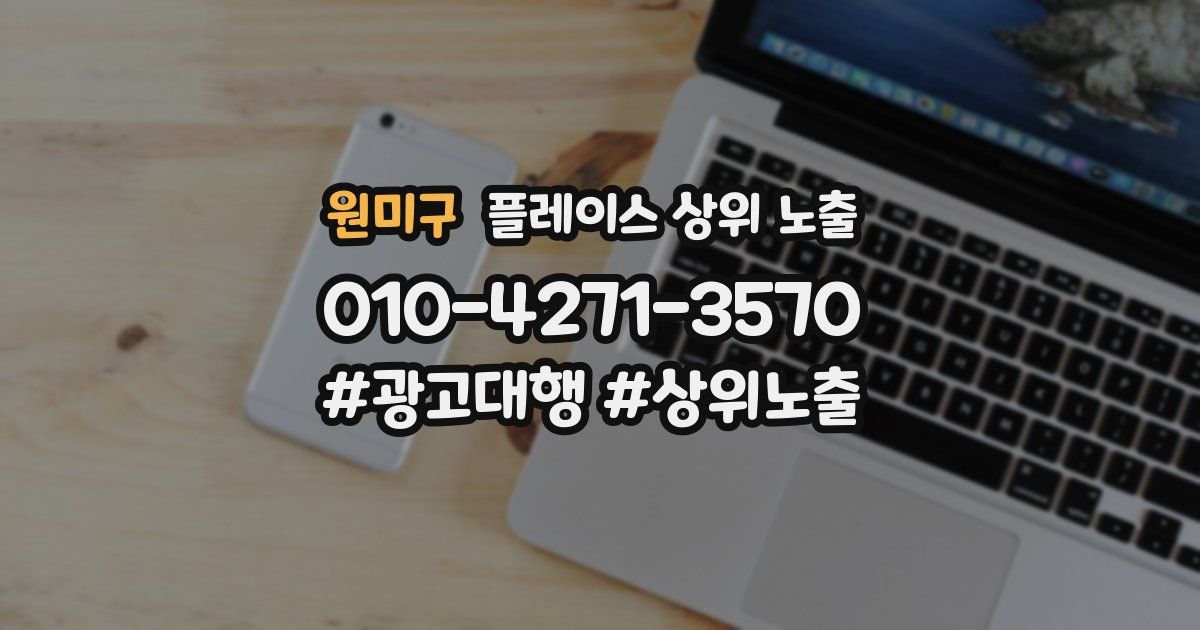 원미구 플레이스 상위 노출