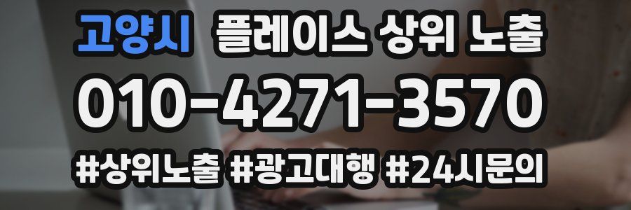 고양시 플레이스 상위 노출