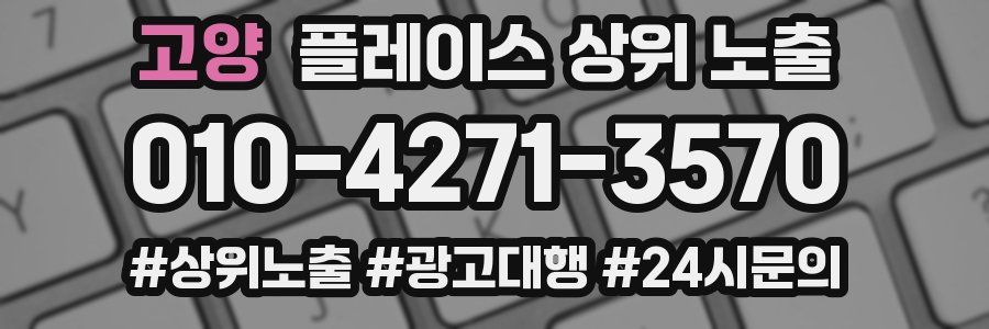 고양 플레이스 상위 노출