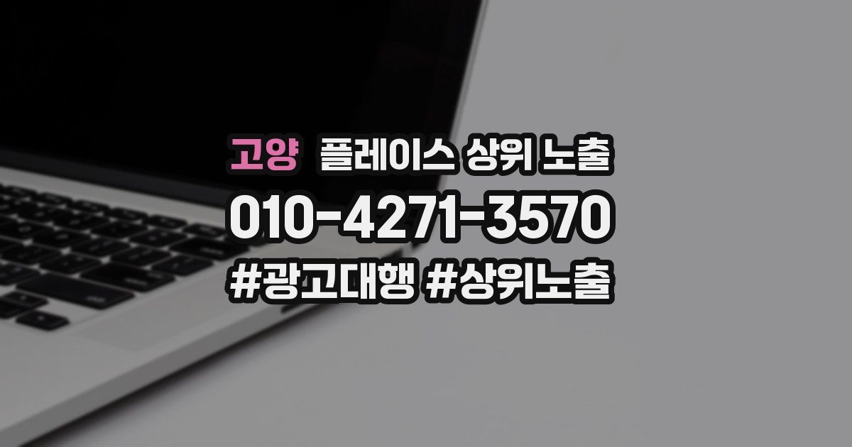 고양 플레이스 상위 노출