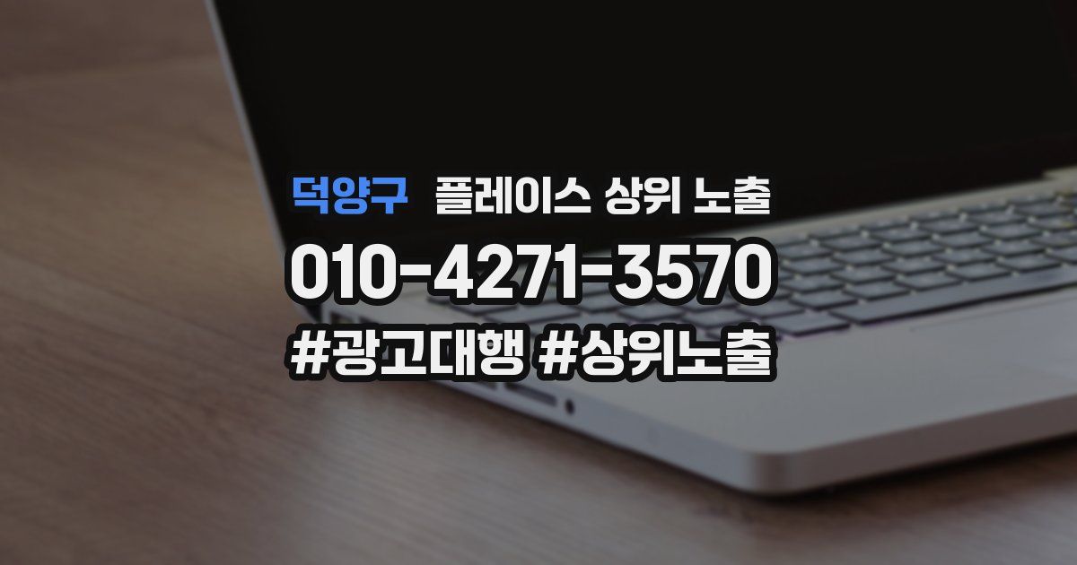 덕양구 플레이스 상위 노출