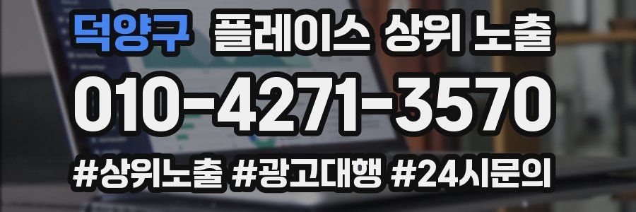 덕양구 플레이스 상위 노출