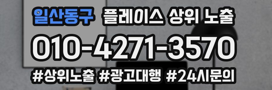 일산동구 플레이스 상위 노출