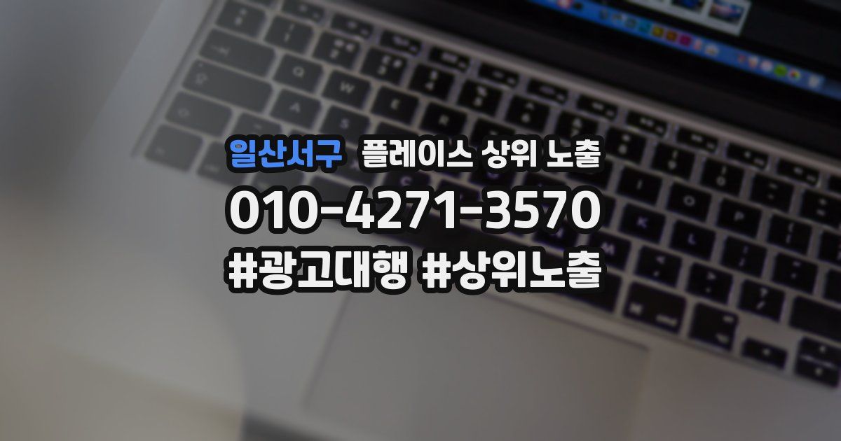 일산서구 플레이스 상위 노출