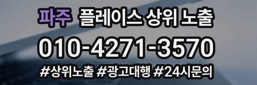 파주 플레이스 상위 노출