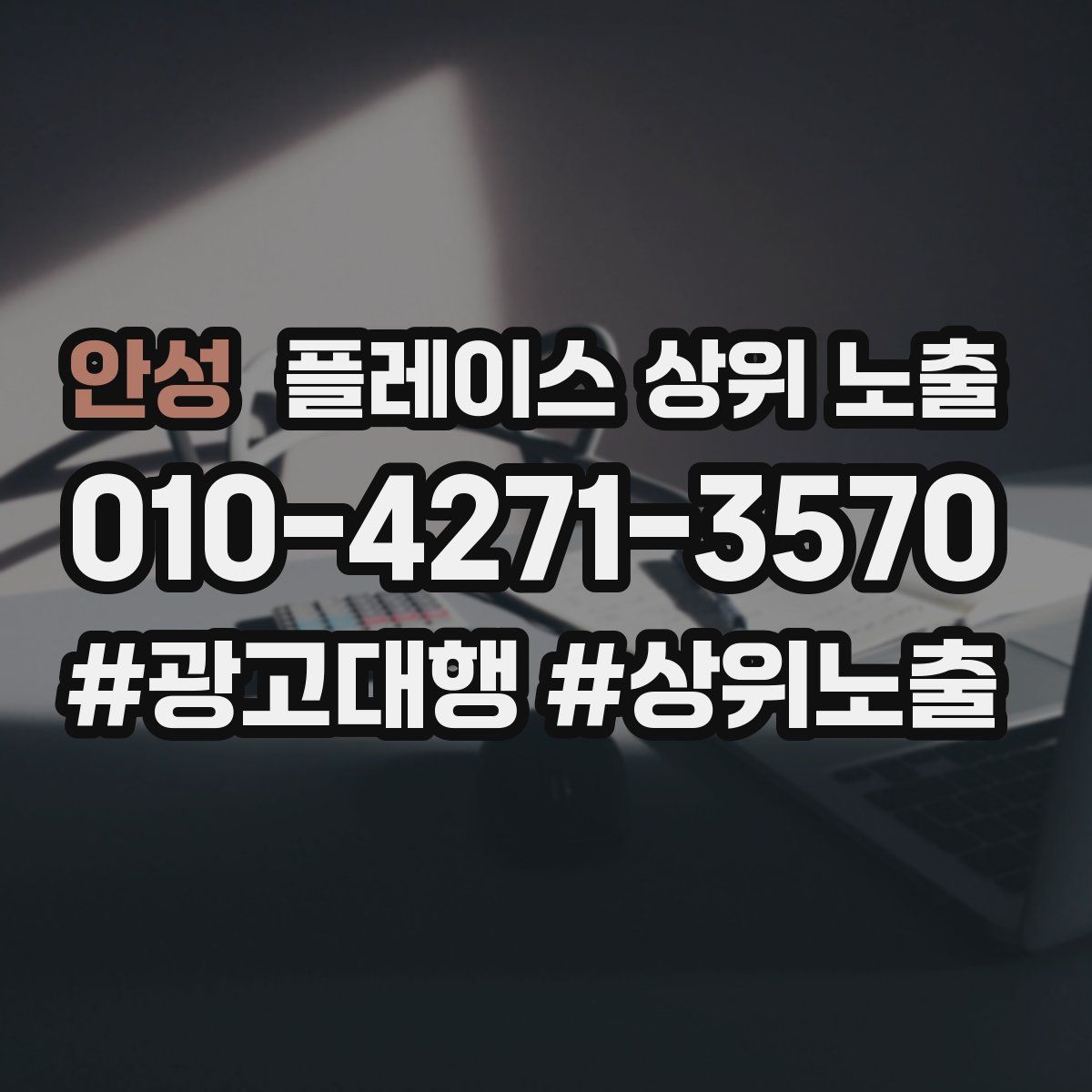 안성 플레이스 상위 노출