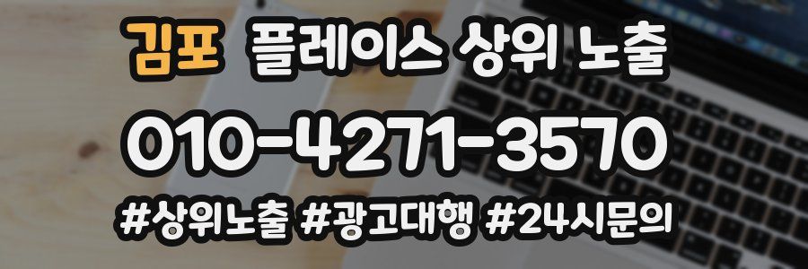 김포 플레이스 상위 노출