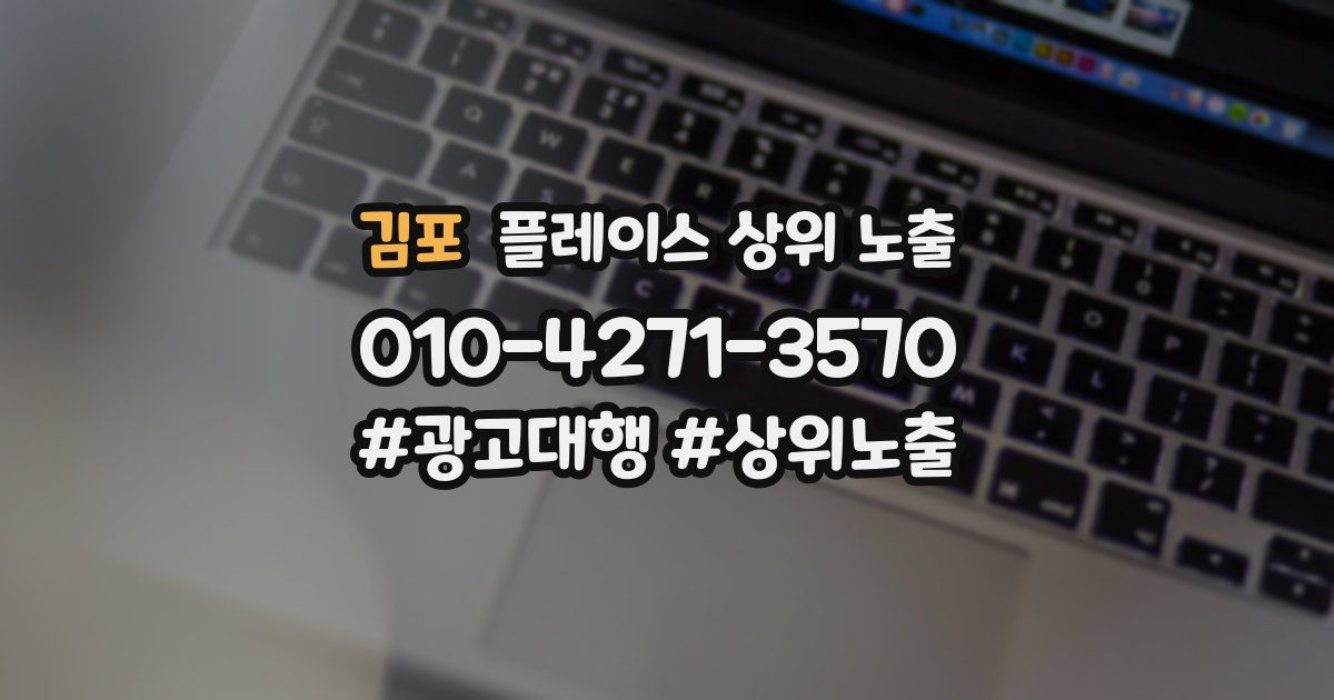 김포 플레이스 상위 노출