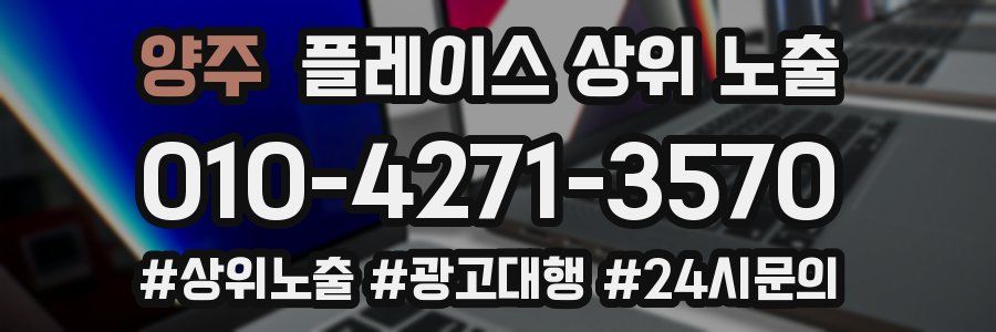 양주 플레이스 상위 노출