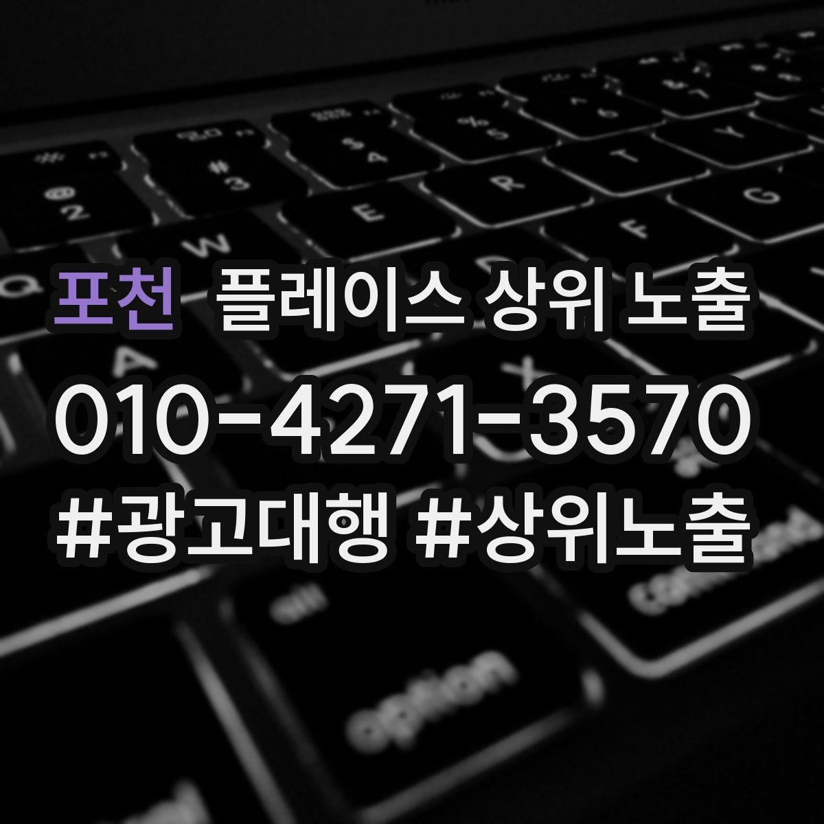 포천 플레이스 상위 노출