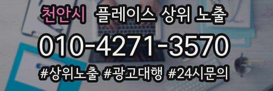천안시 플레이스 상위 노출