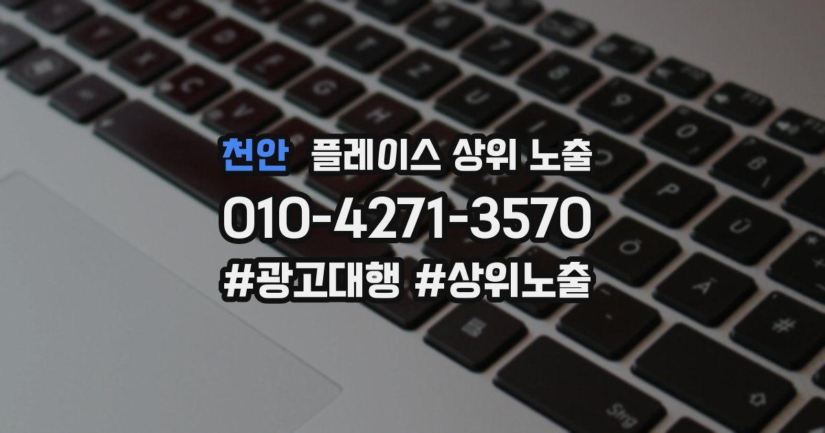 천안 플레이스 상위 노출