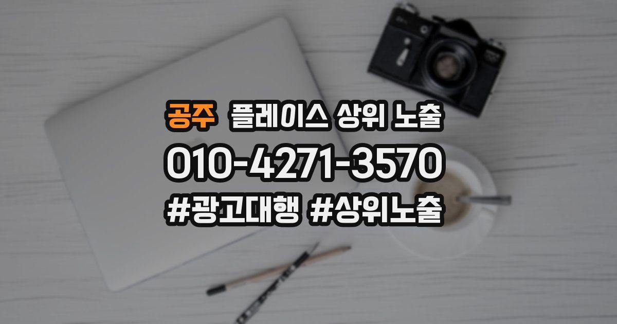 공주 플레이스 상위 노출
