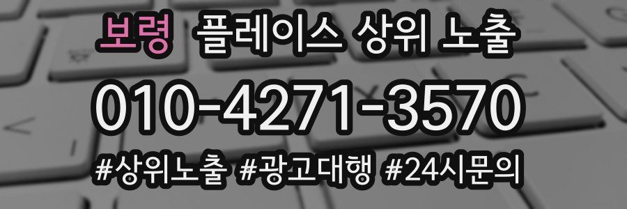 보령 플레이스 상위 노출