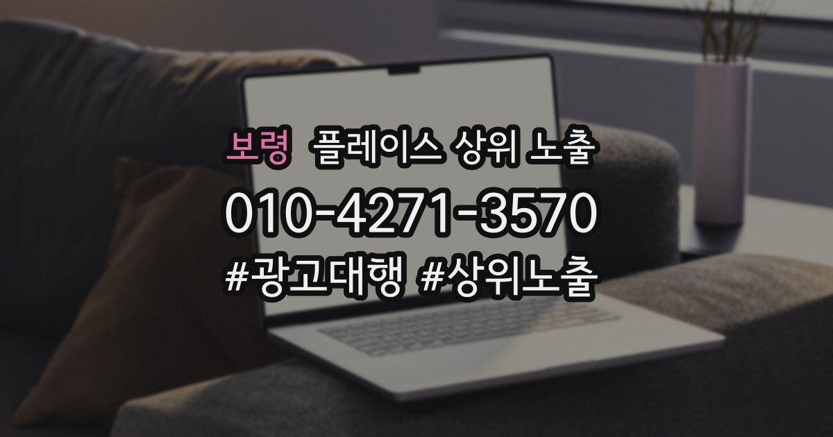 보령 플레이스 상위 노출
