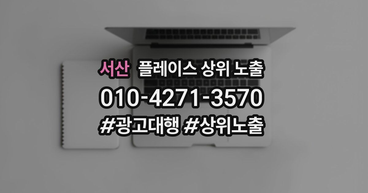 서산 플레이스 상위 노출