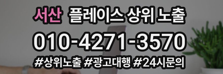 서산 플레이스 상위 노출