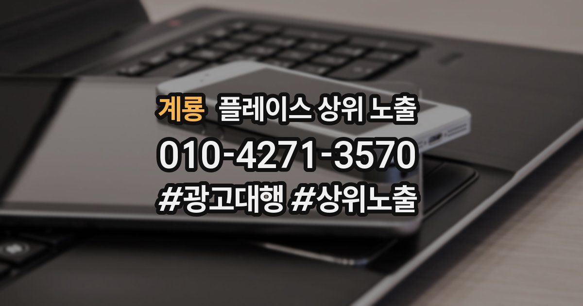 계룡 플레이스 상위 노출