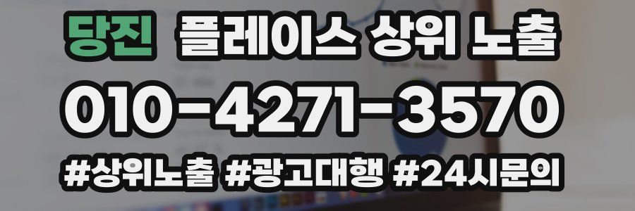 당진 플레이스 상위 노출