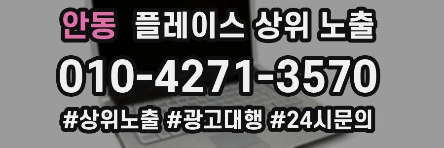 안동 플레이스 상위 노출