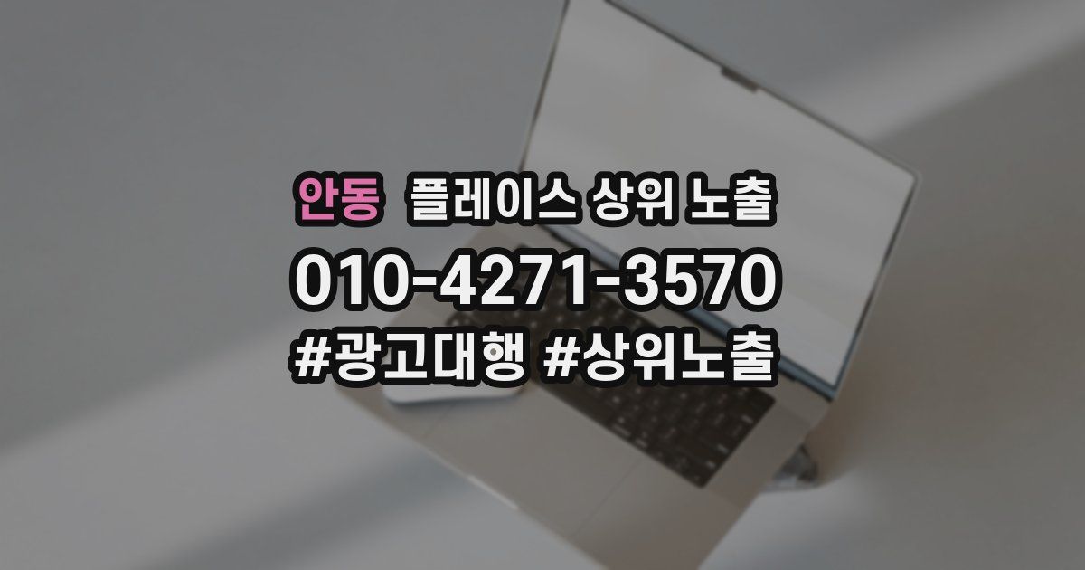 안동 플레이스 상위 노출
