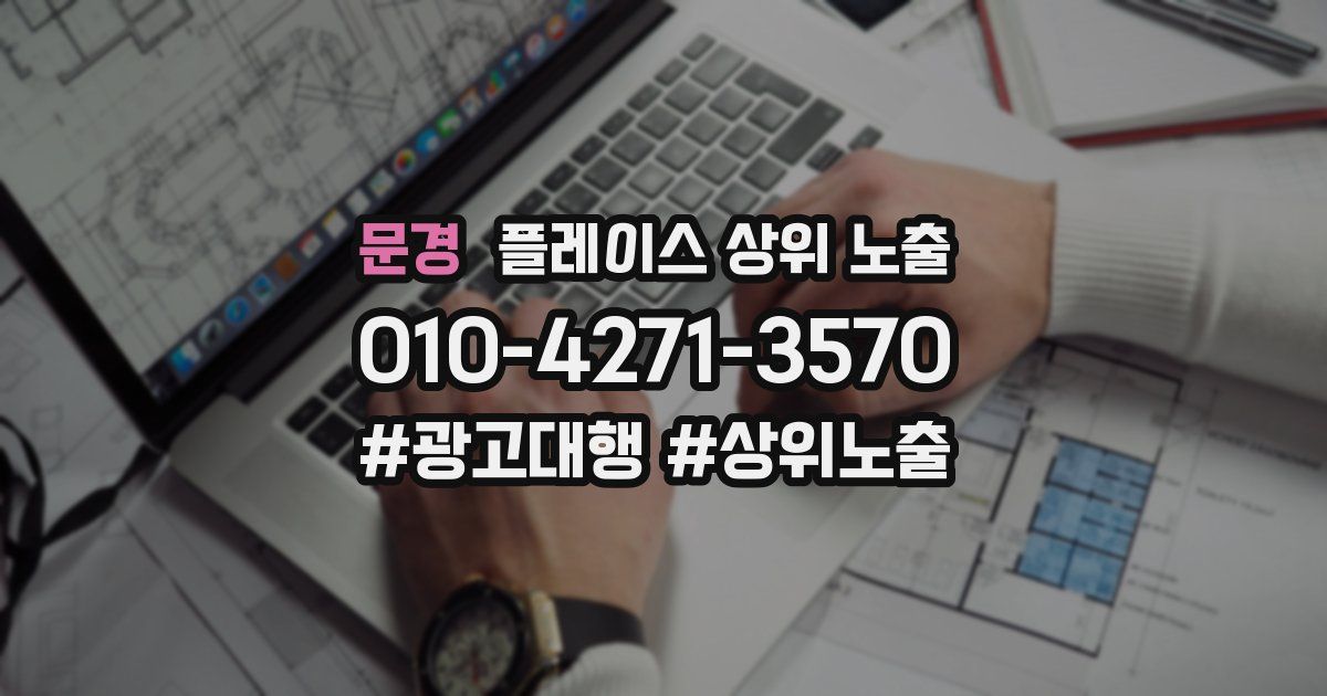 문경 플레이스 상위 노출