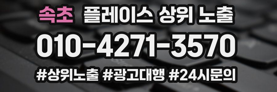 속초 플레이스 상위 노출