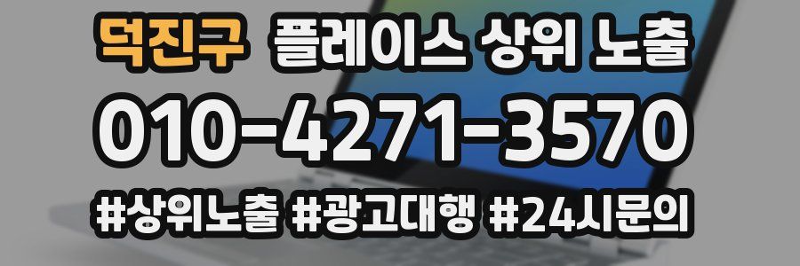 덕진구 플레이스 상위 노출