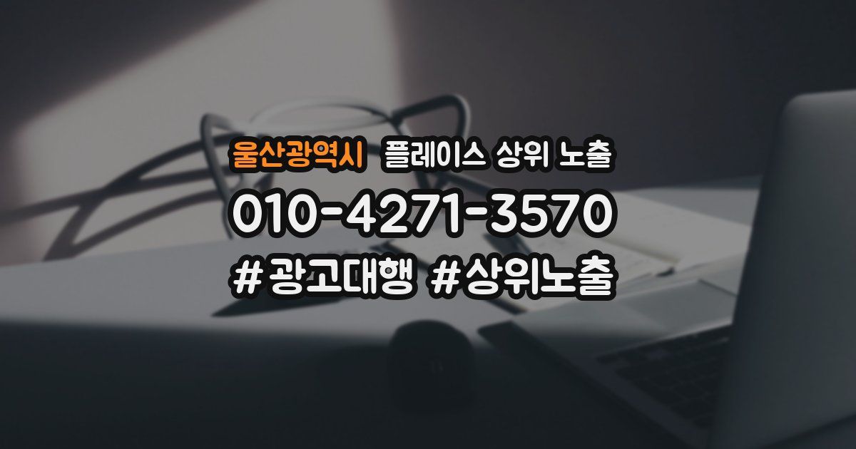 울산광역시 플레이스 상위 노출