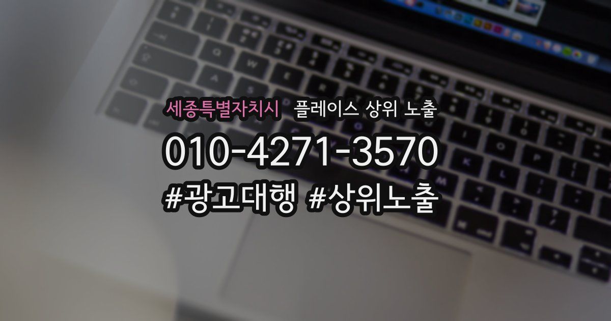 세종특별자치시 플레이스 상위 노출
