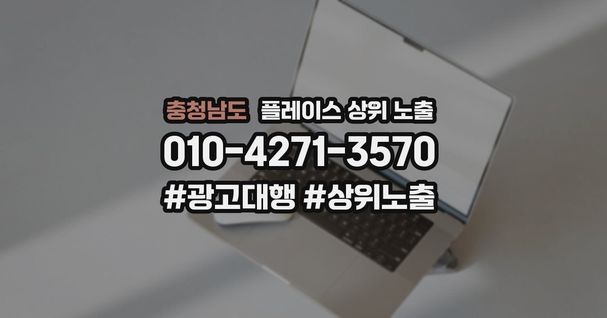충청남도 플레이스 상위 노출