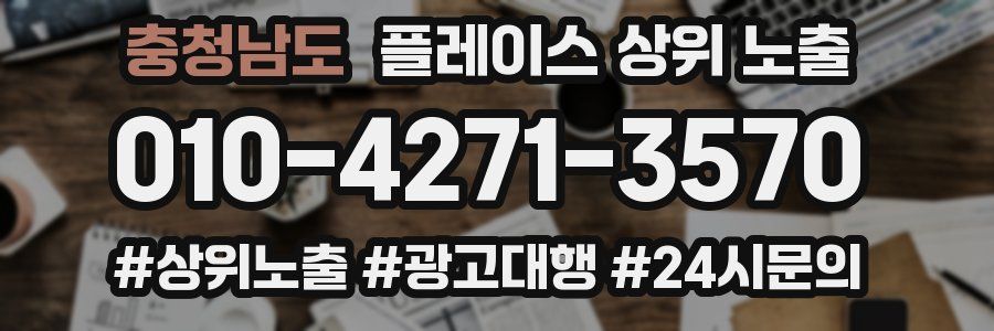 충청남도 플레이스 상위 노출