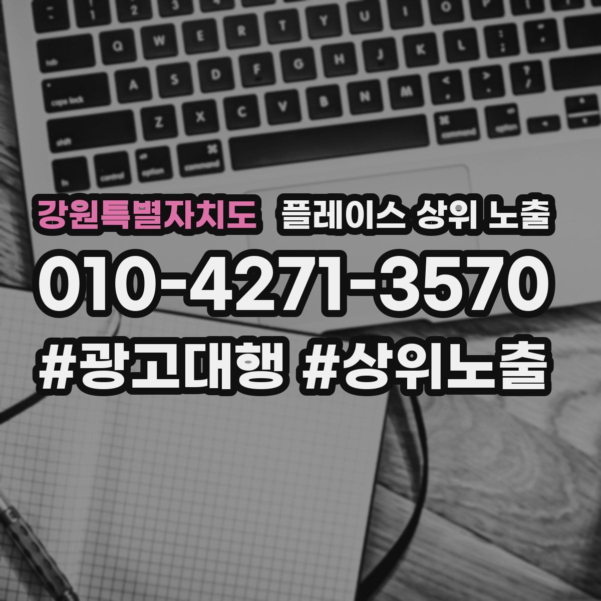 강원특별자치도 플레이스 상위 노출