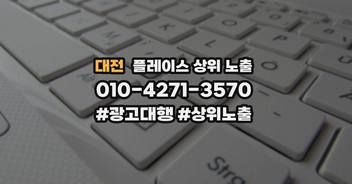 대전 플레이스 상위 노출