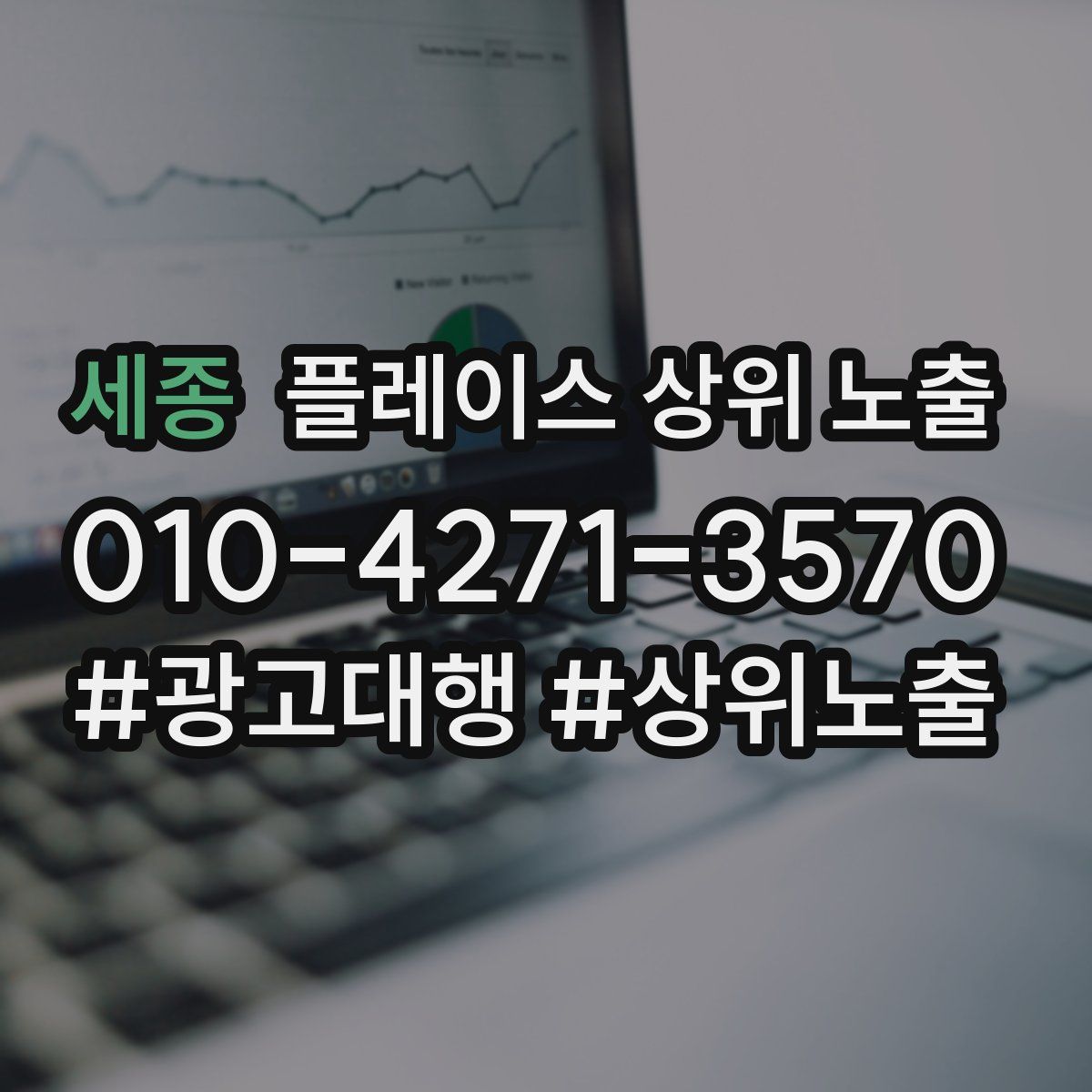 세종 플레이스 상위 노출