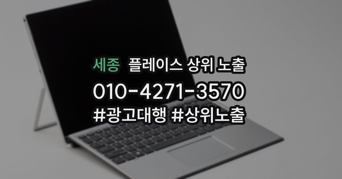 세종 플레이스 상위 노출