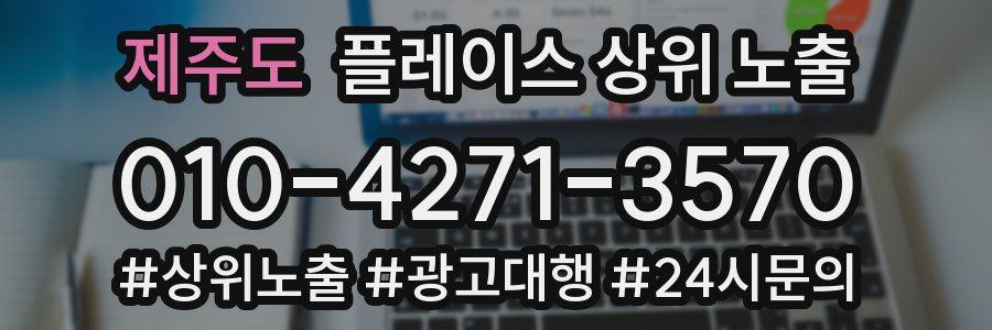 제주도 플레이스 상위 노출