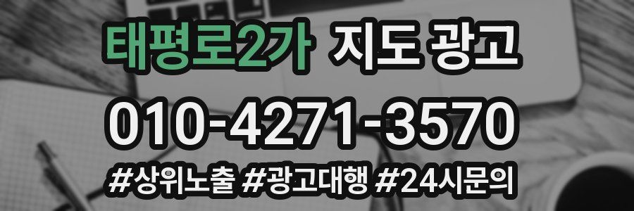 태평로2가 지도 광고