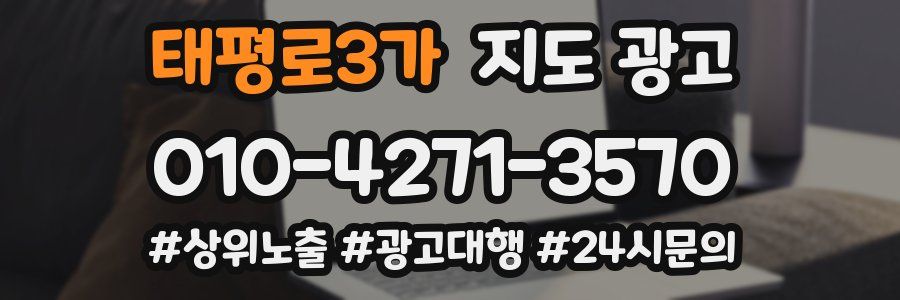 태평로3가 지도 광고