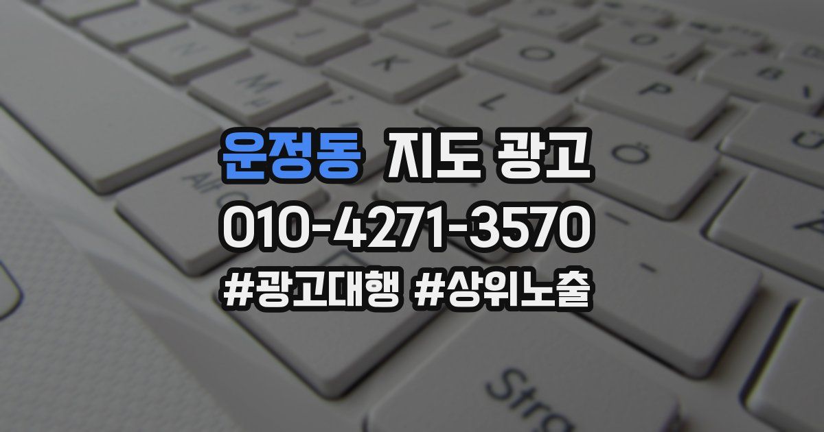 운정동 지도 광고