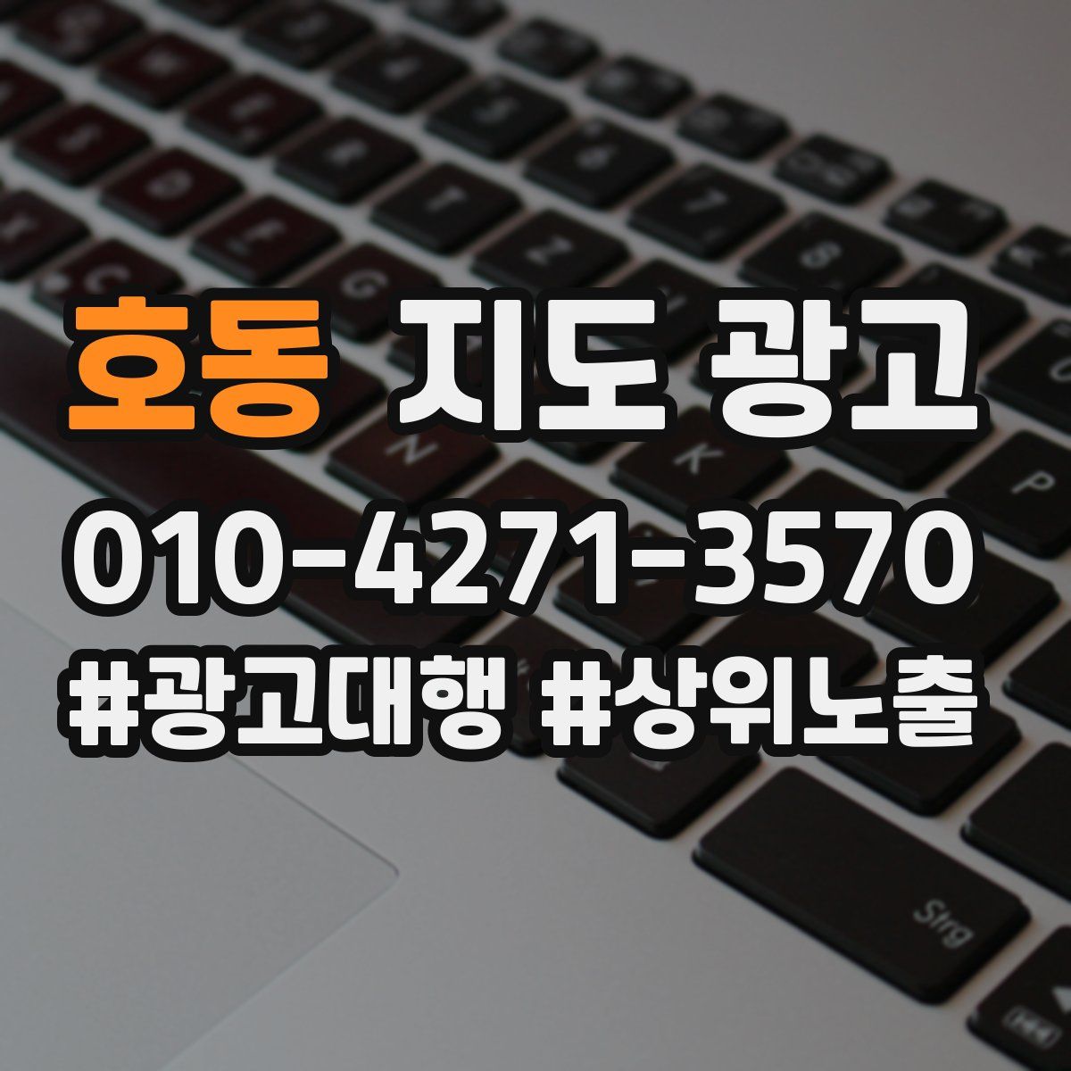 호동 지도 광고
